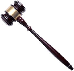 Judge Hammer
